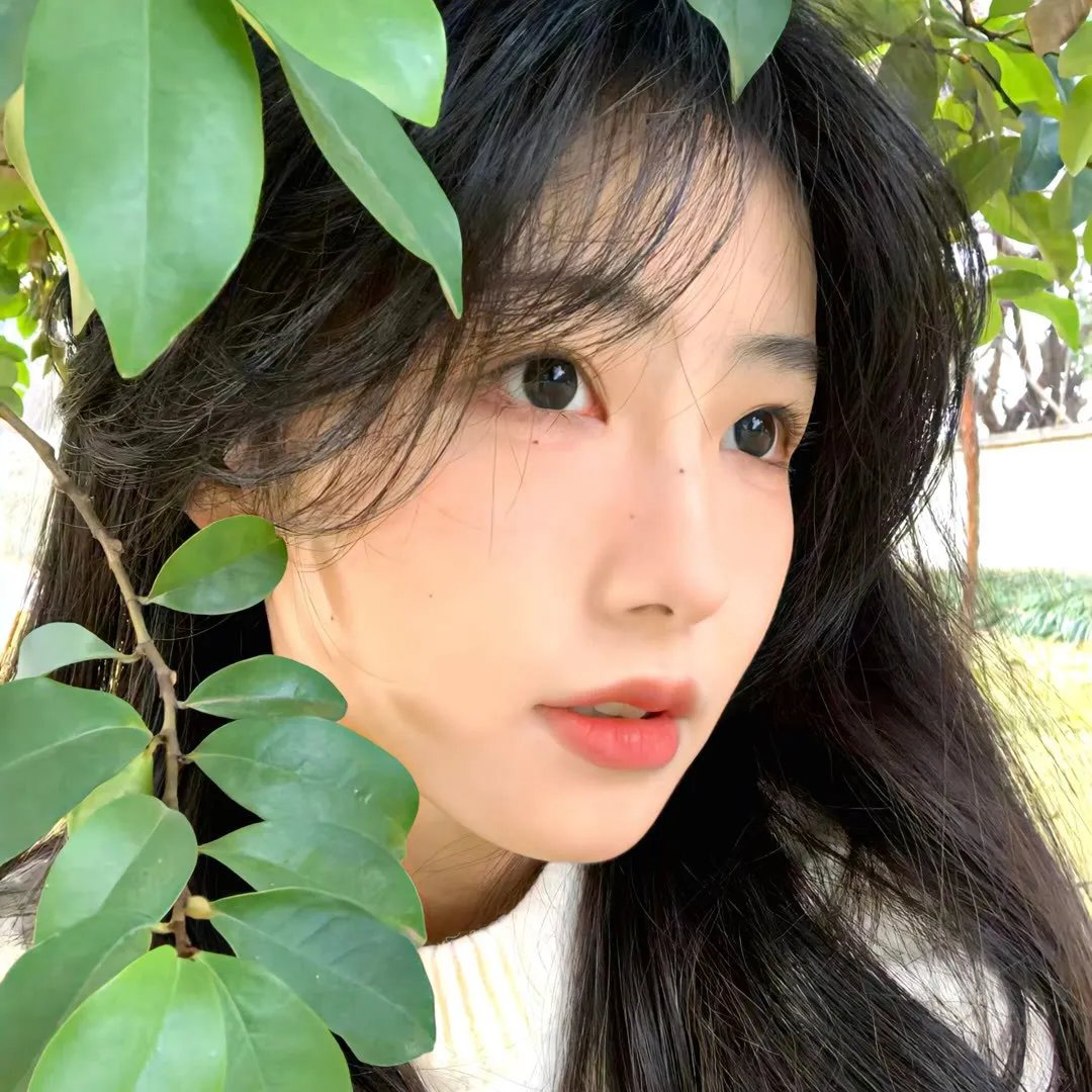 角落里的阳光